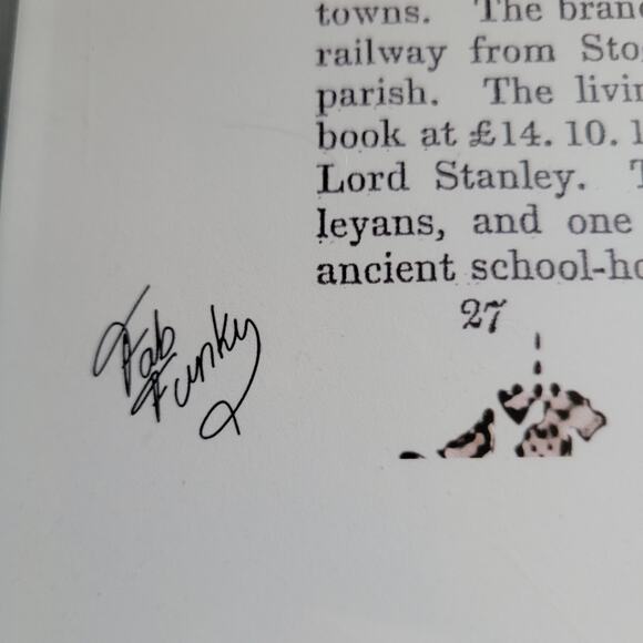 Fab Funky Flat Iron Bldg NYC Red Hot Air Balloons Dictionary Pg Signed Framed 19 - Picture 2 of 4